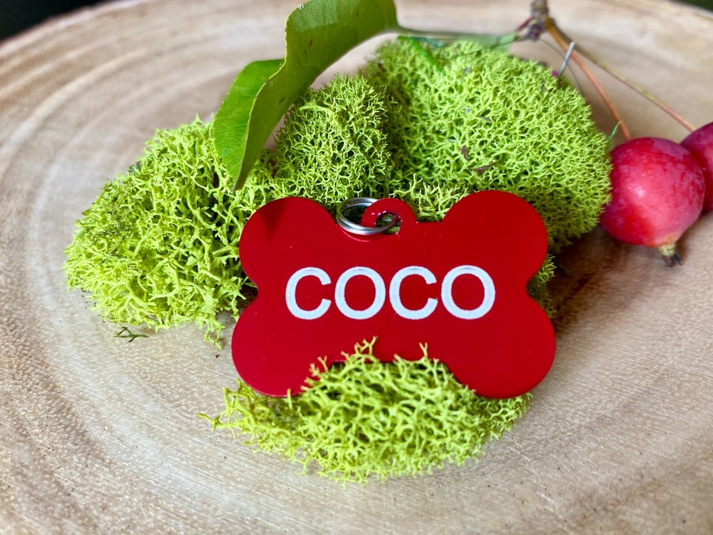 Custom Engraved Dog Tag Pet ID with split ring Personalized tag, CHARMS