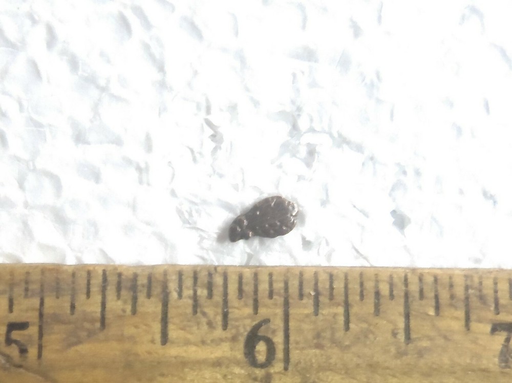 Bronze Oak Leaf Attachment for Metals