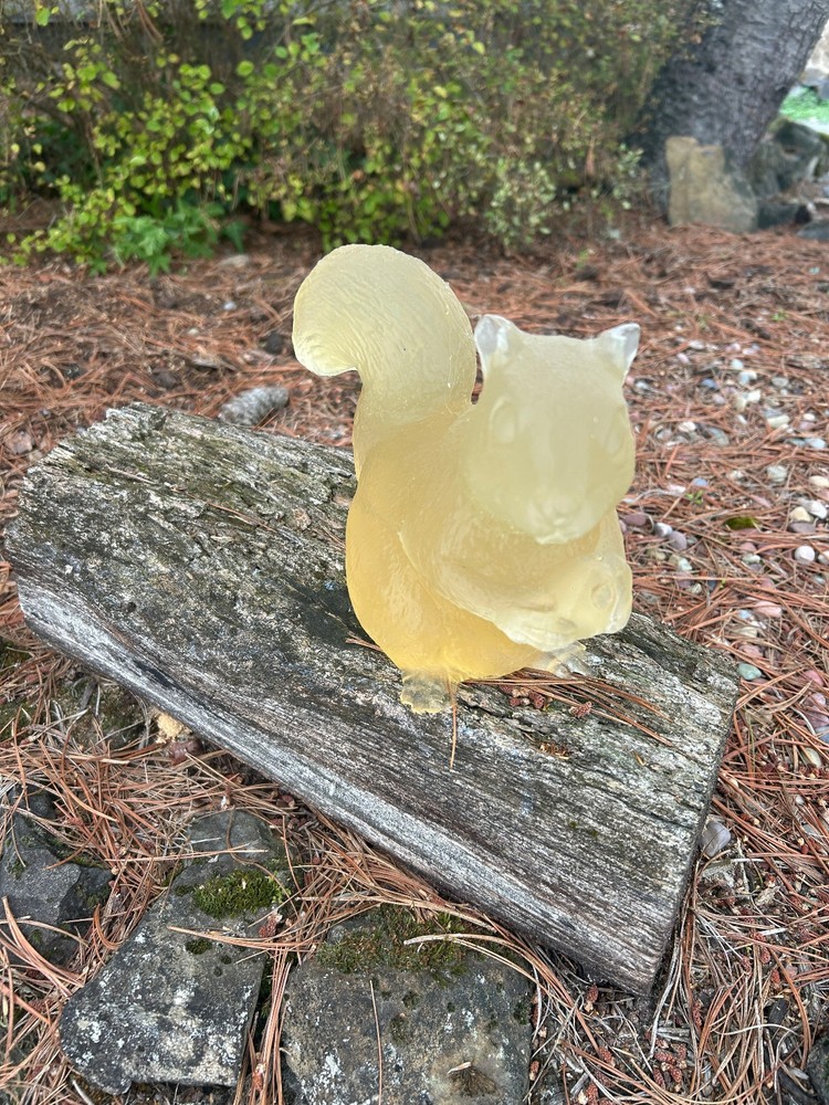 Ballistic Gel Squirrel Target