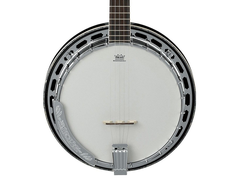Ibanez B300 5-String Banjo