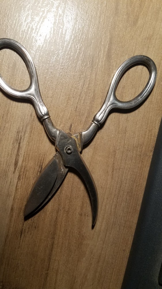 Germany-VTG Sterling Handled Shears-Curved Blade