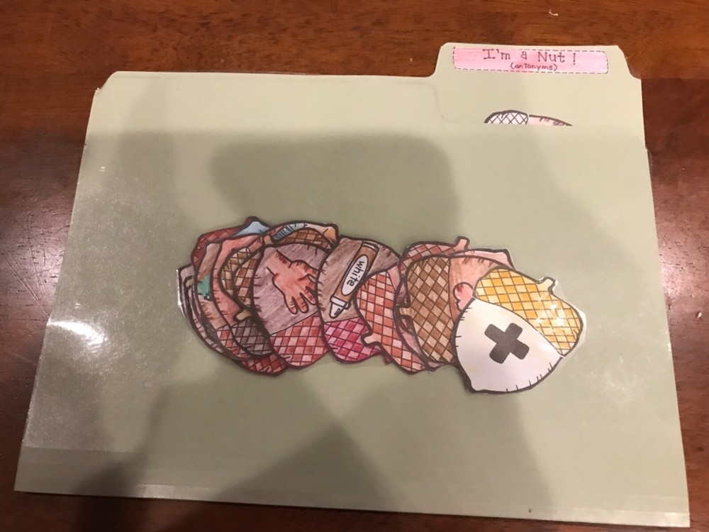 I’m a Nut! Antonyms 1st grade language arts file folder game