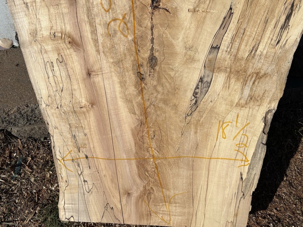 Spalted Maple Wood