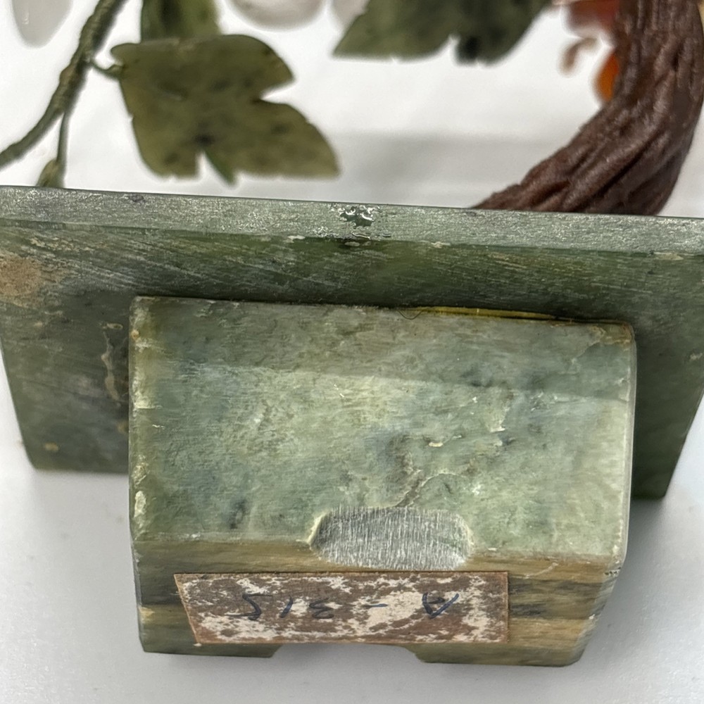 Curved Chinese Jade Tree