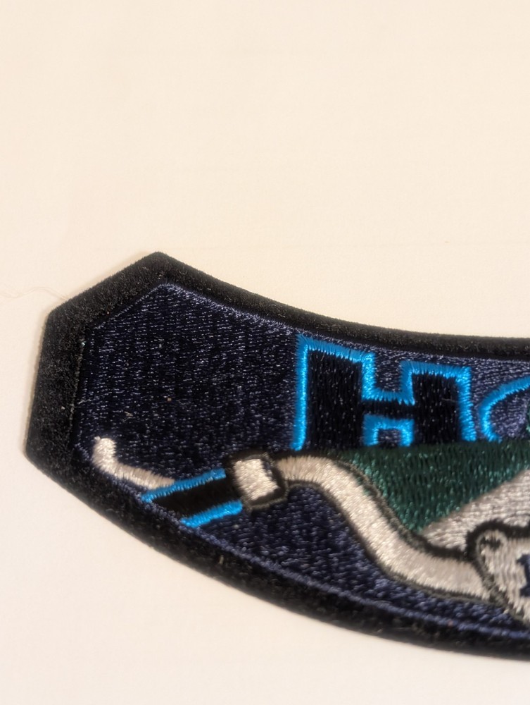 HARLEY DAVIDSON HOG 1994 PATCH HARLEY OWNERS GROUP NICE 6"