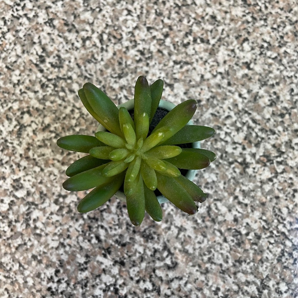 Small Ceramic Succulent Planter Pot Tiny Flower Plant Home Decor