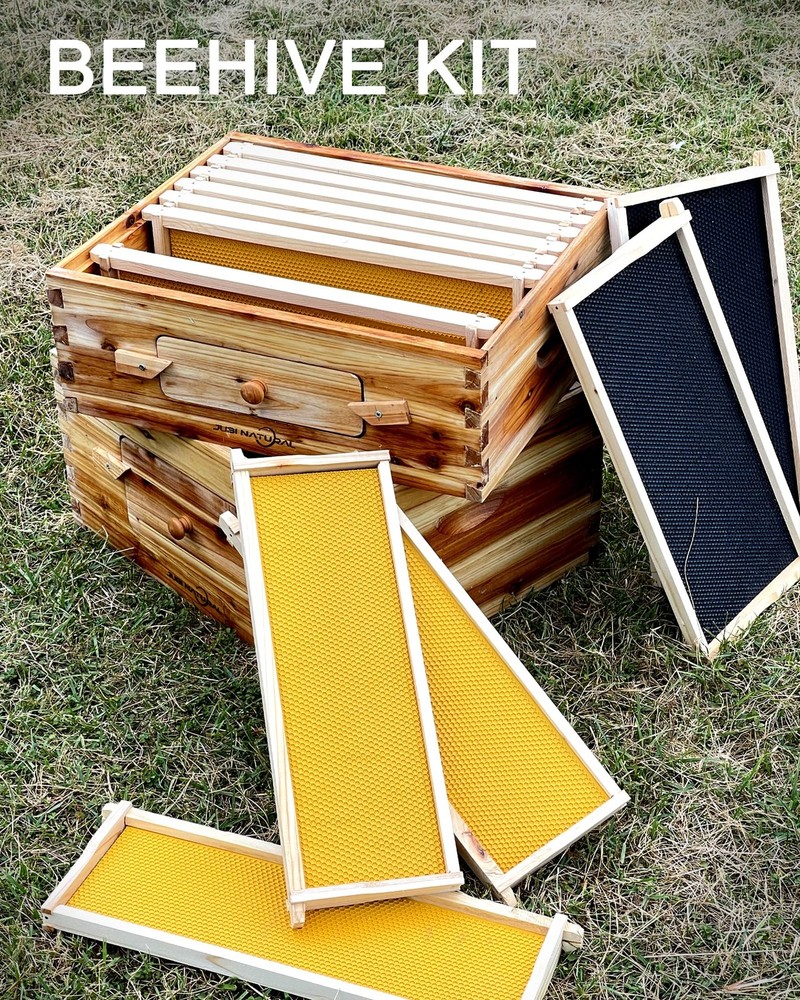 Bee Hive 10 Frame Deep Bee Box with Frames and Foundation, Beeswax Coated Lan...