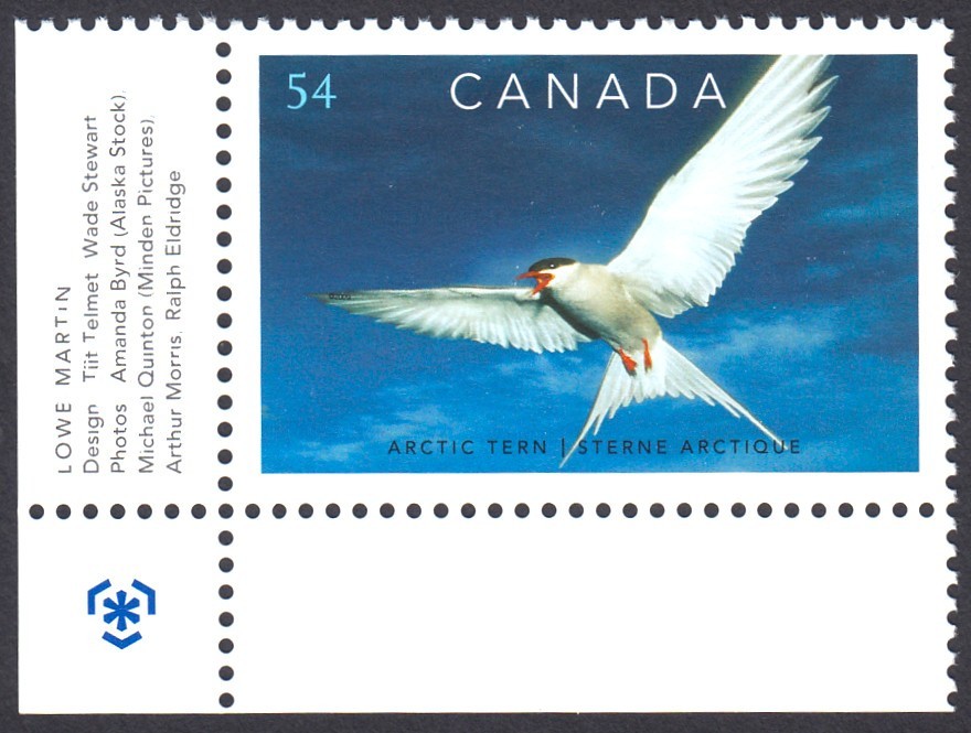 BIRD ARCTIC TERN = Canada 2009 #2327 MNH CORNER STAMP