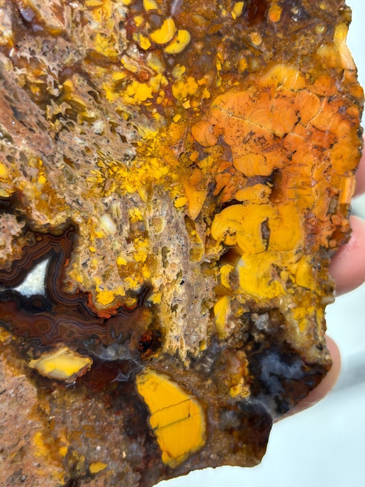 Turkish Agate Slab Cabbing Lapidary Collecting Combo Ship Avail