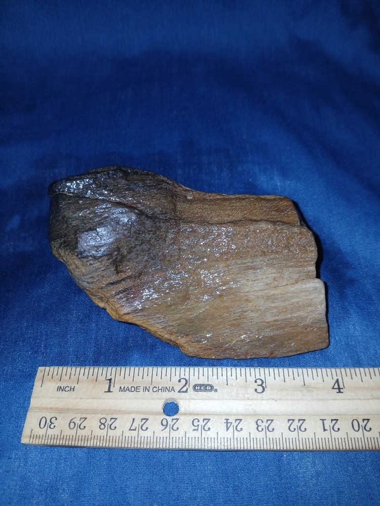 9 oz Texas Petrified Wood