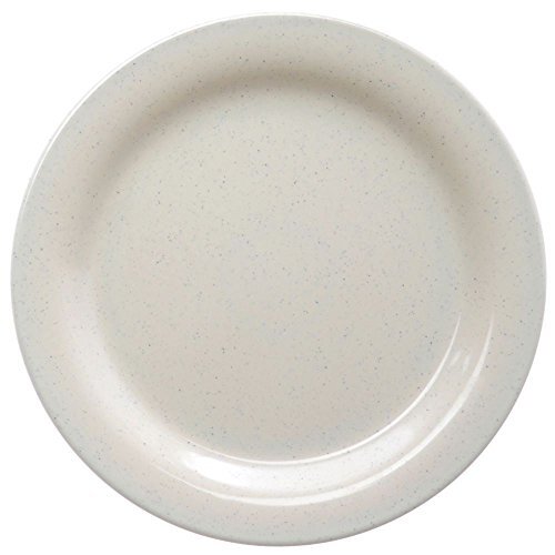 G.E.T. Santa Fe Ironstone 9" Melamine Plate