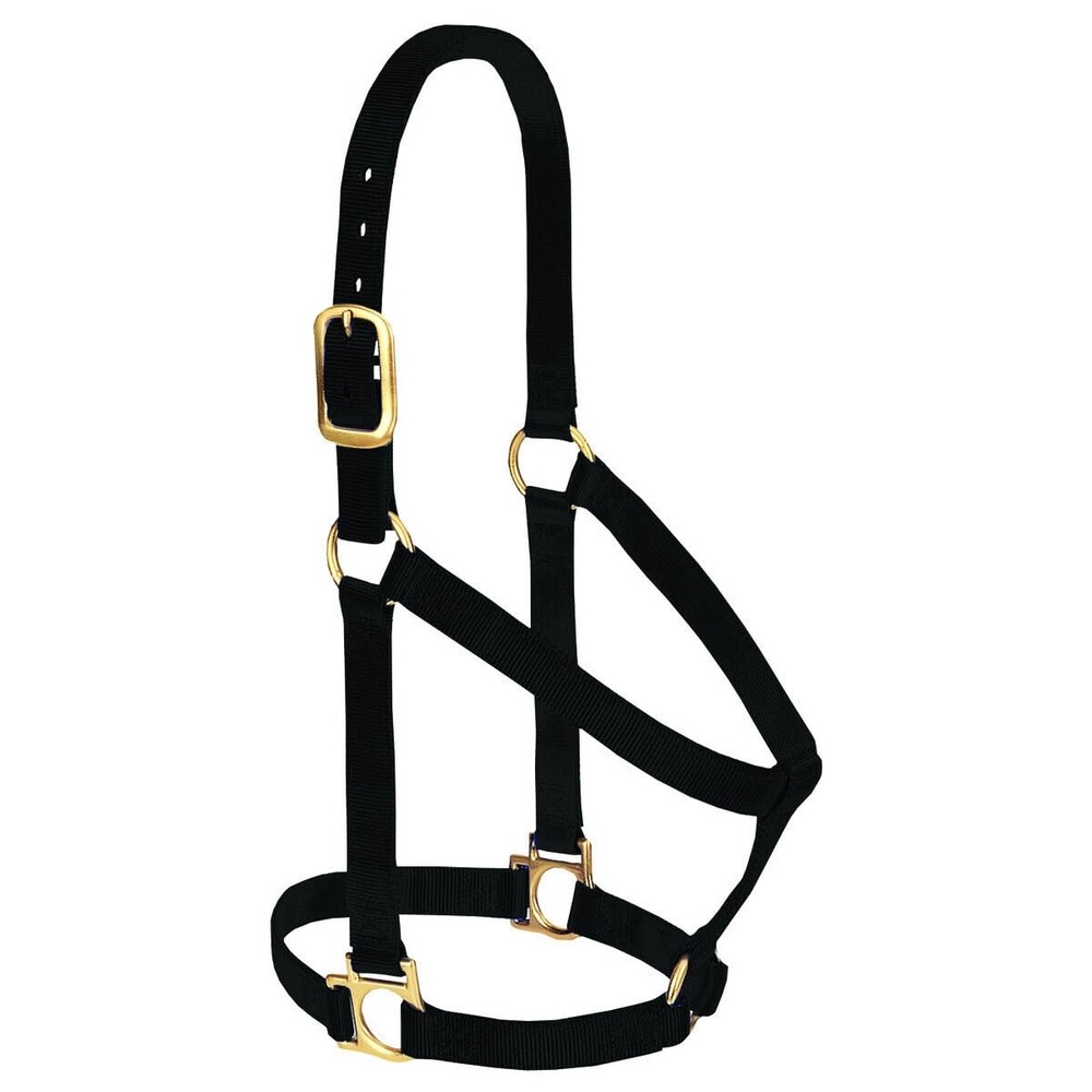 Weaver Leather Basic Non-Adjustable Nylon Horse Halter