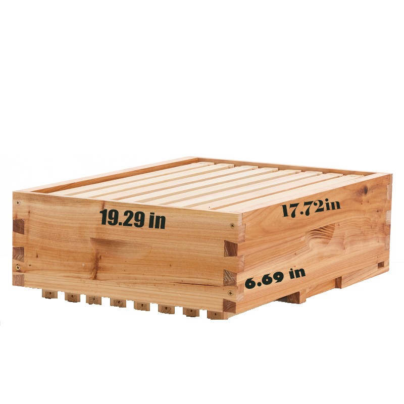 Bee Hive Langstroth Medium Beehive Kit 10 Frames Acrylic Bee