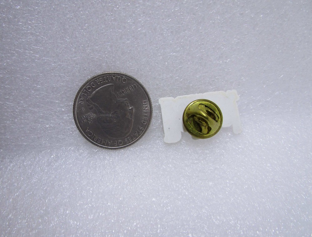 Dallas Texas Plastic Pin