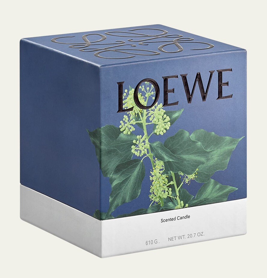 LOEWE Ivy Medium Candle 610g Wax