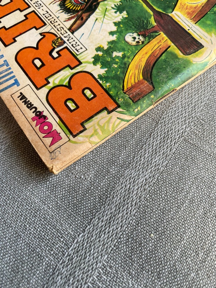 Brik N°165 Mon Journal 1974 In Correct Condition