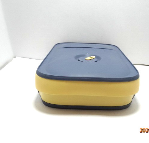 Egg Storage Box Blue And Yellow Holds 18-20 Eggs Stackable Egg Box
