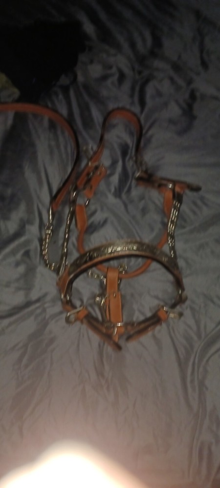 horse bridle