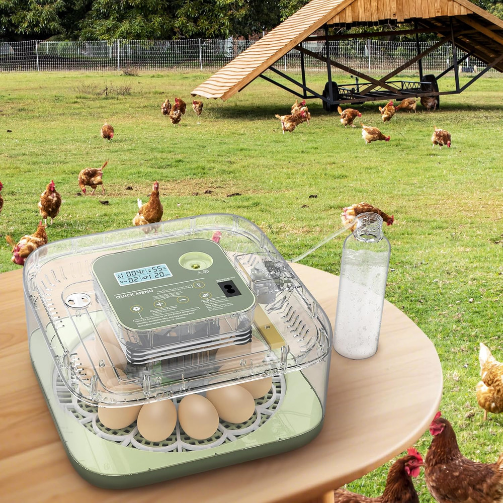 Incubators for Hatching Eggs, 12 Eggs Capacity, Egg Incubator with Automatic Egg