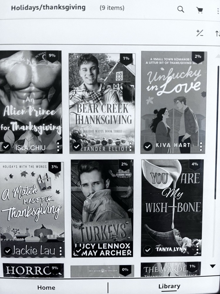 Amazon Kindle eBook Reader 32GB with books bundle