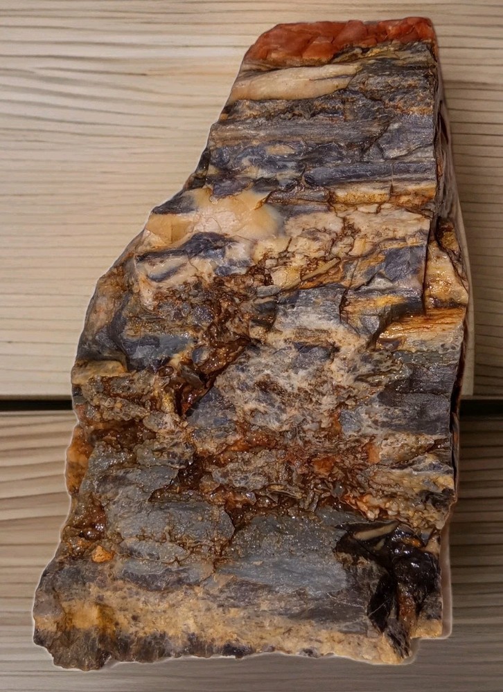 Petrified Wood Rough Specimen 7 oz