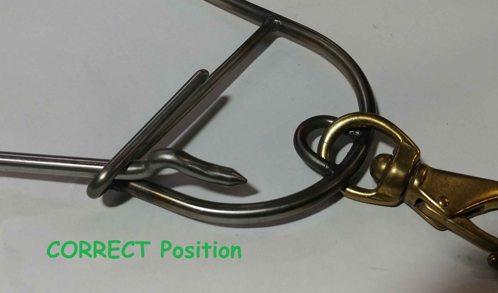 Spearfishing Fish Stringer with Brass Clip , Stainless