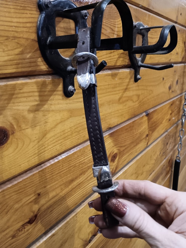 Circle Y Silver Show Headstall