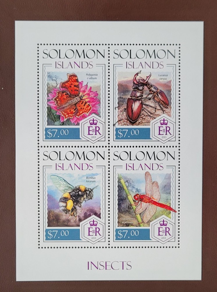 Solomon Island 2013 /  Insects  / 4v ms