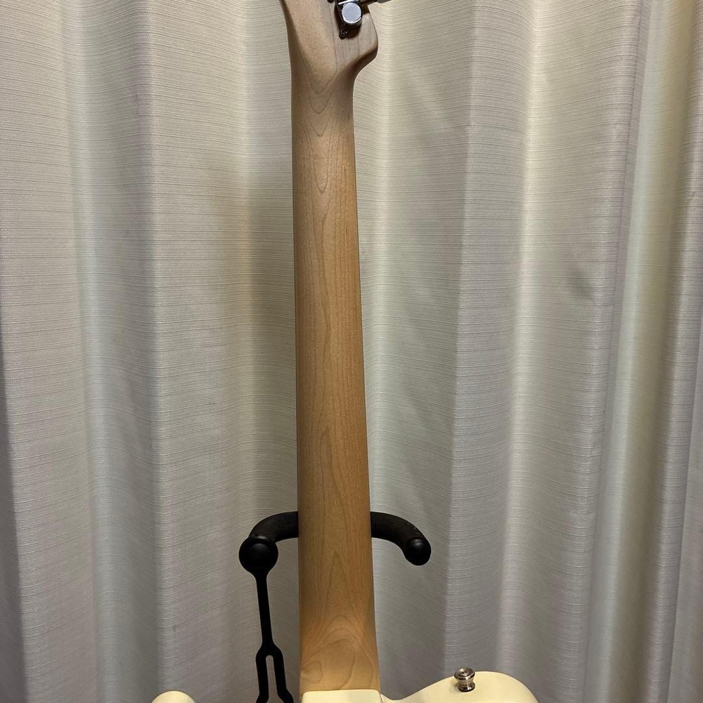 Bacchus Universe Series Telecaster