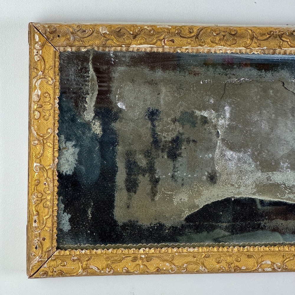 Antique Horizontal Long & Narrow Distressed Gilded Mirror