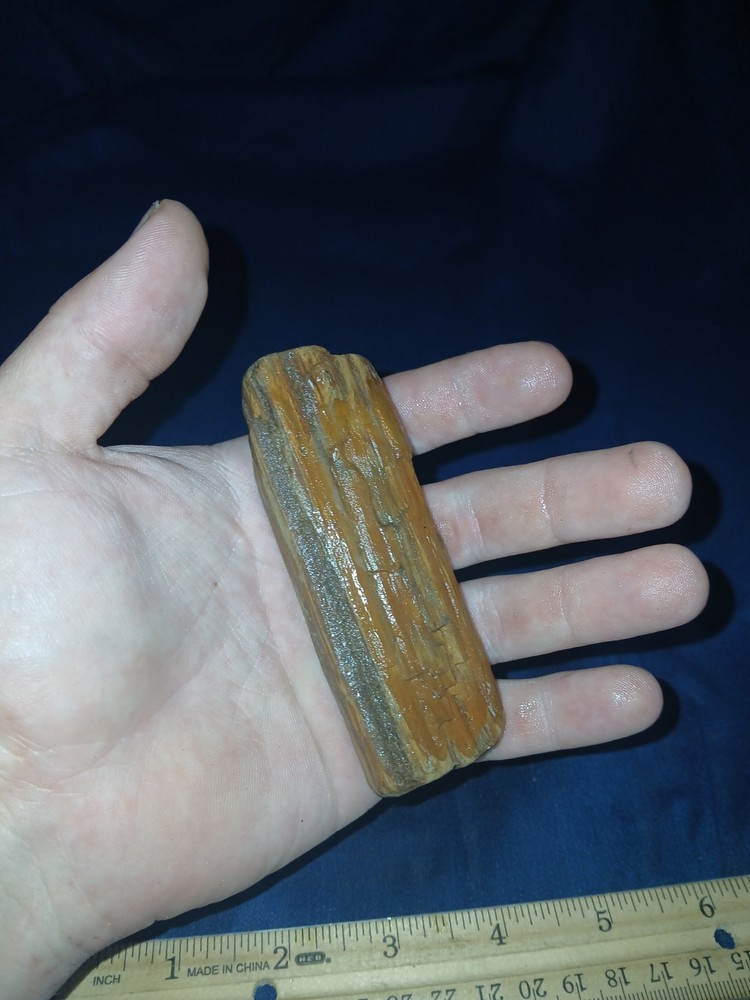 3.3 oz Texas Petrified Wood