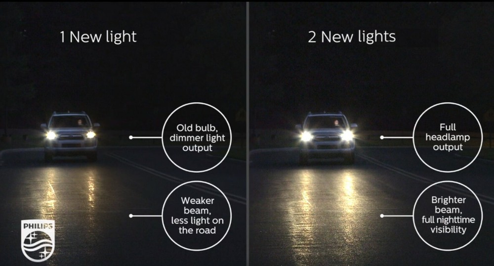 Philips LongerLife DE3175 10W Two Bulbs Interior Dome Light Replace Stock Lamp