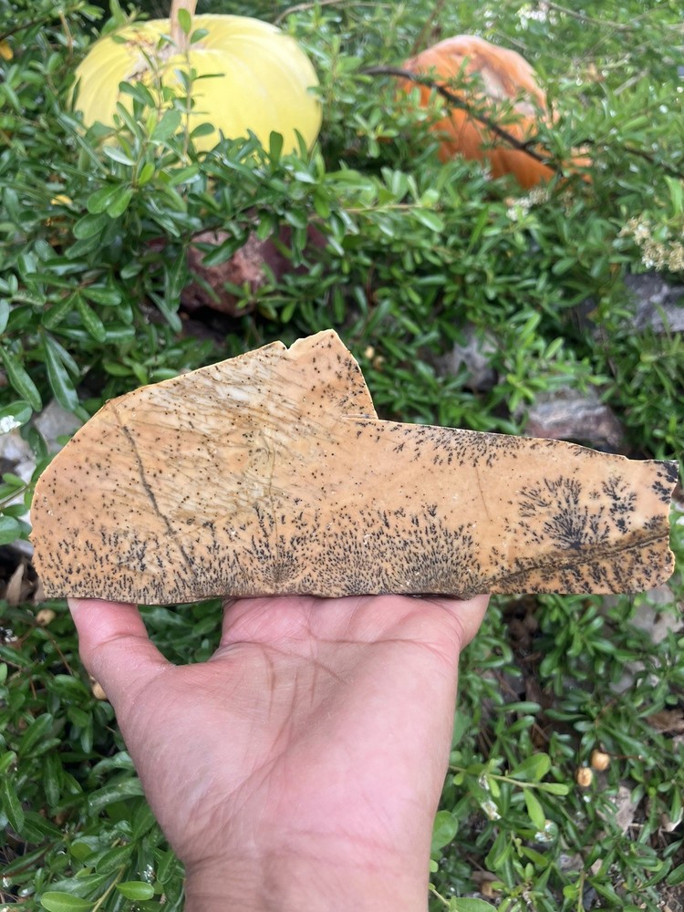 Dendritic Rhyolite Slab