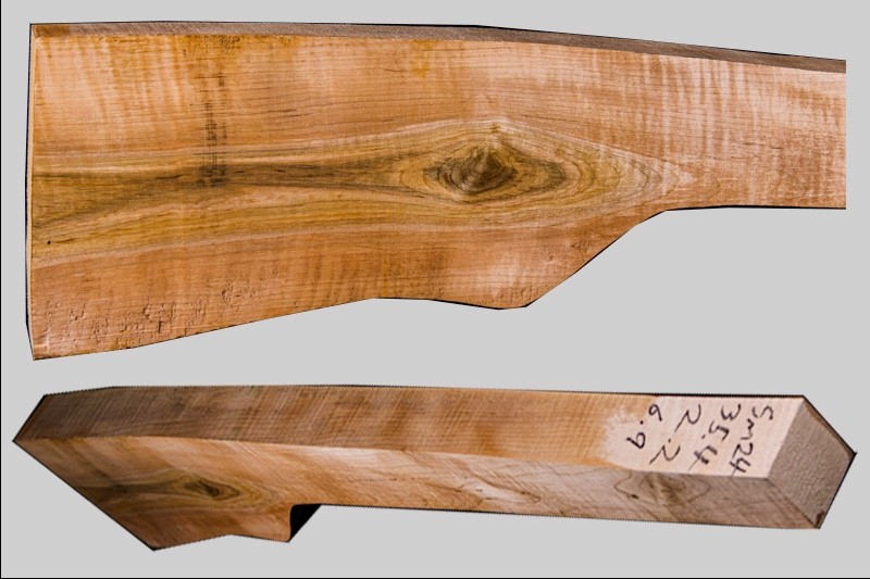 Sugar Maple rifle blank sm24
