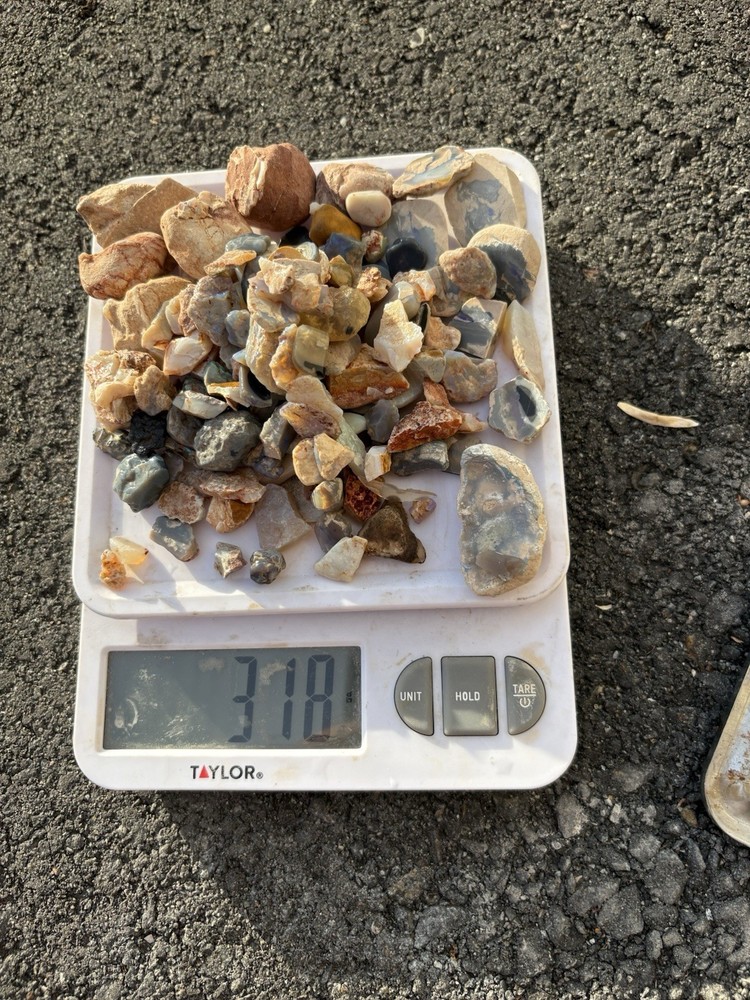 Australian rough Opal 310 Grams Plus!!