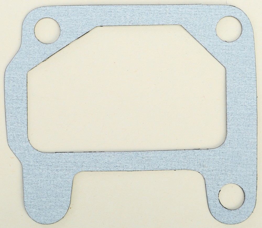 Intake Gasket