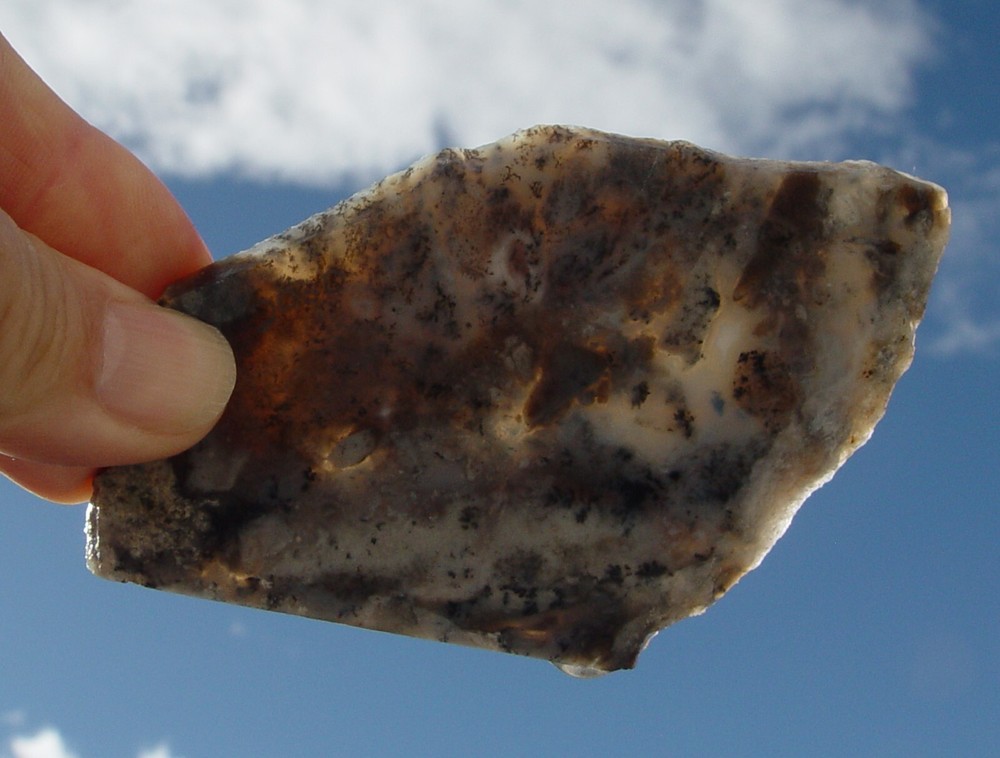Dendritic Agate Lapidary Slab T1127