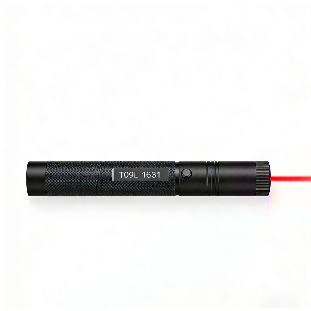 Red Light Laser Pointer Rechargeable Flashlight Cat Toy Adjustable Focus