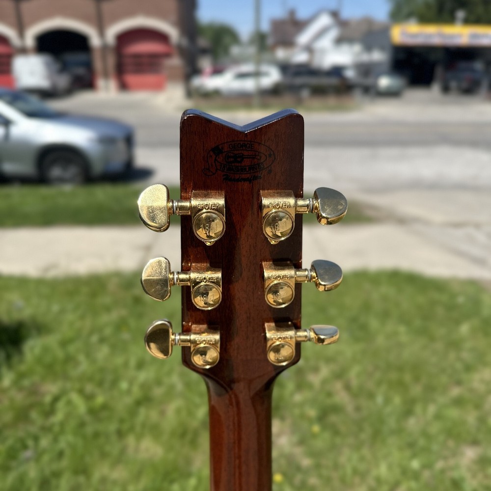 Washburn D10SCE DLK w/ case