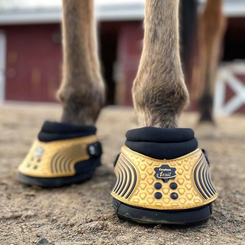 Easyboot Trail Original