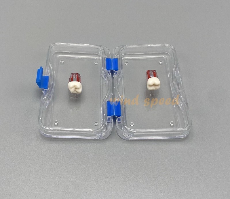 1 Pc Denture False Teeth Membrane Container Hinged Display Box Jewelry Retainer