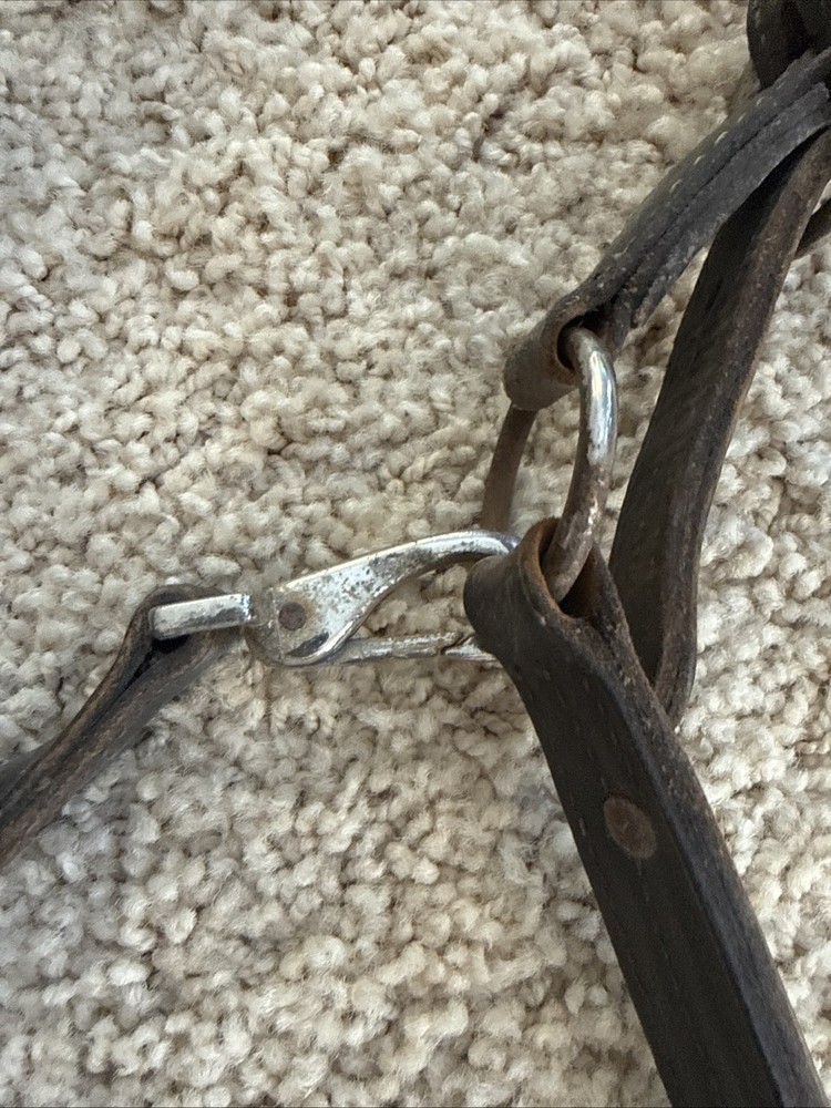 BROKEN Leathed Horse Size Halter - Use For Hardware