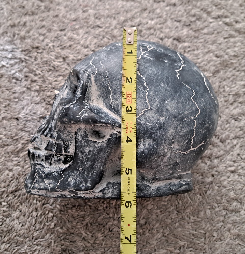 Skull