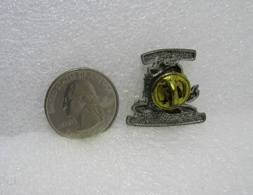 Reading Is Dino-Mite Dinosaur Pin