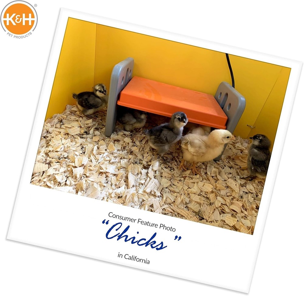 Chicken Brooder Heater for Chicks, Adjustable Heating Plate for 15 Chicks