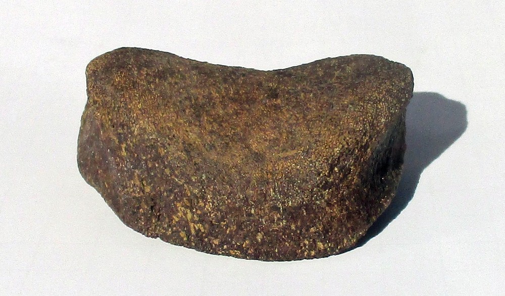 Edmontosaurus Toe Bone - Hell Creek Formation Montana