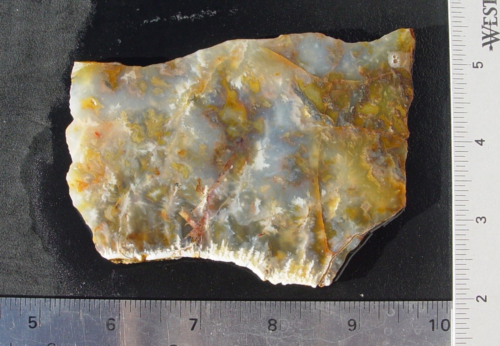 Graveyard Point Plume Agate Lapidary Slab T1097