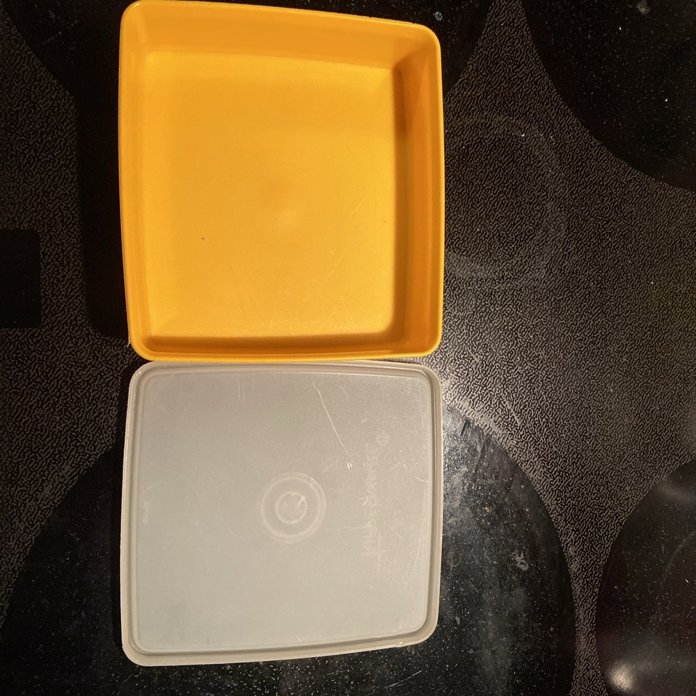 Tupperware Mango/orange Colored Sandwich Keeper