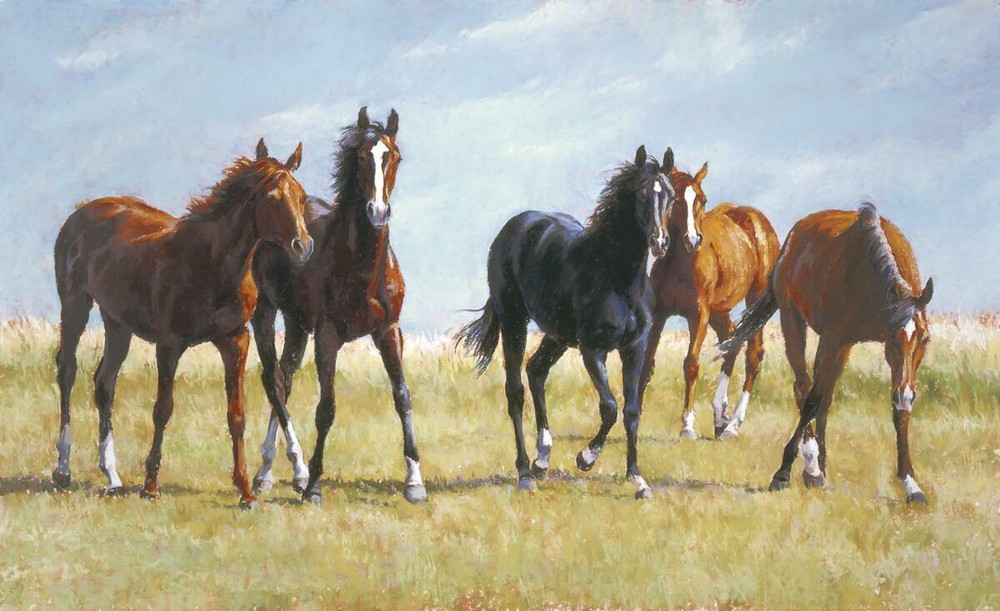 Ceramic Tile Mural Kitchen Backsplash - Brat Pack 1 - Horses - Animals
