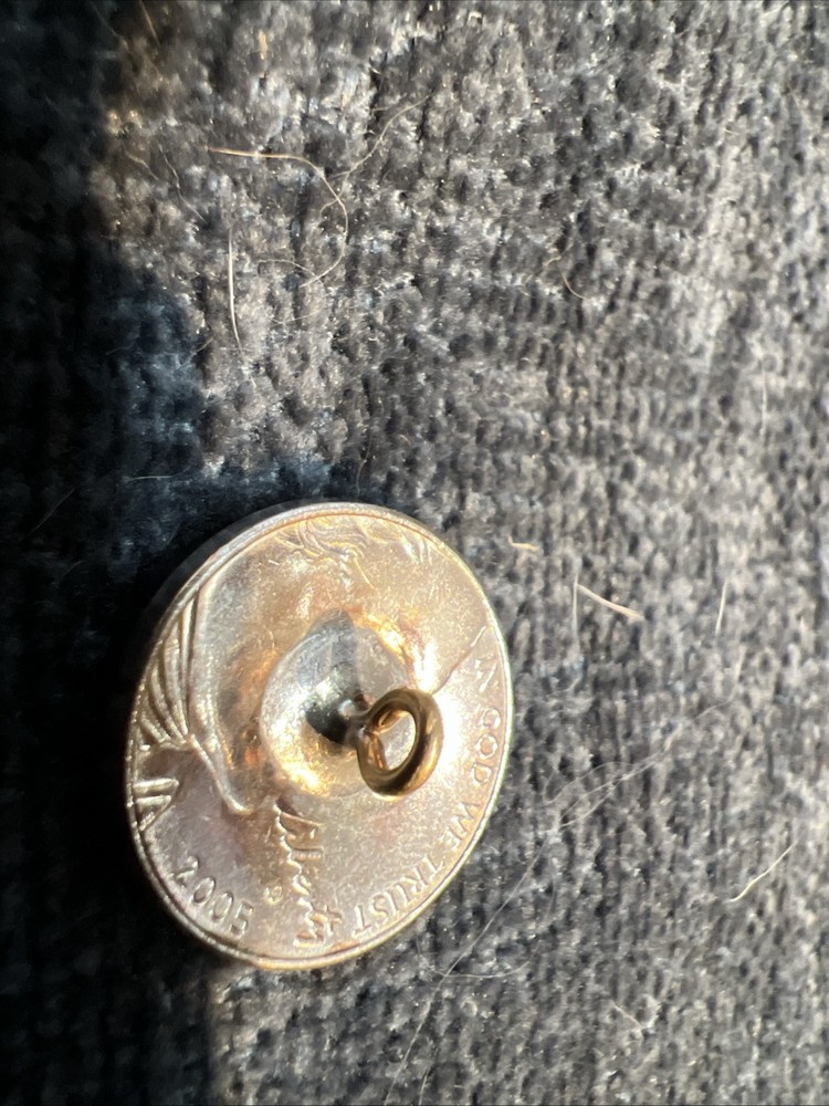 Buffalo Nickel Buttons